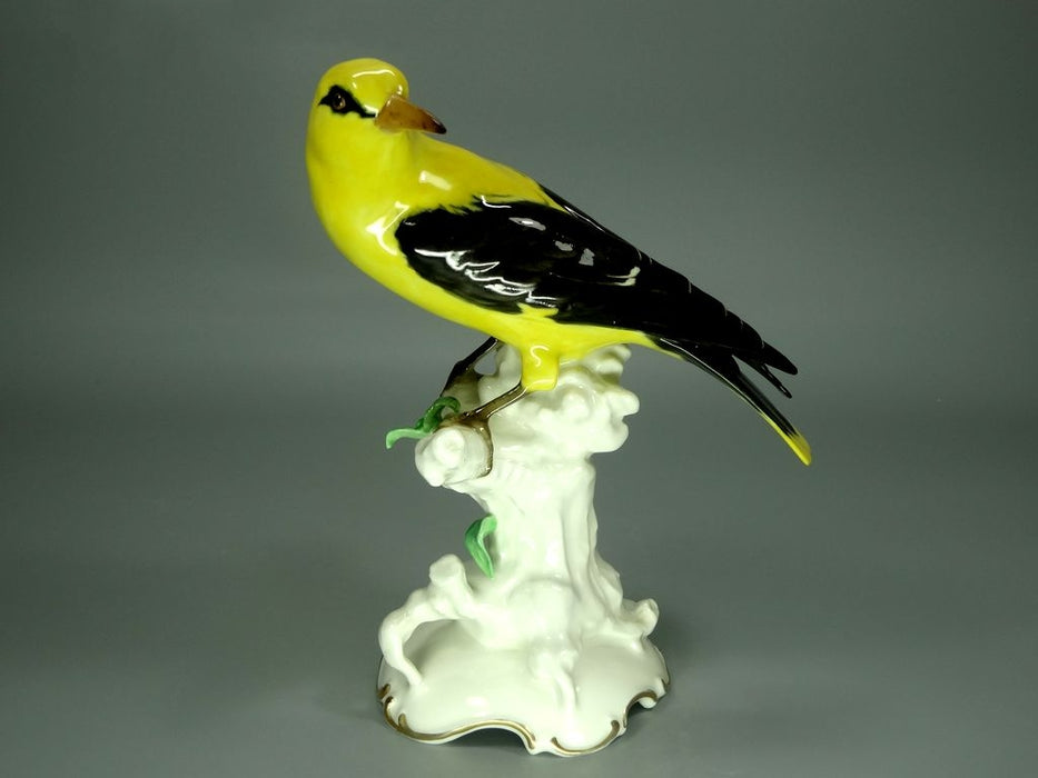 Antique Oriole Bird Porcelain Figurine Original Hutschenreuther Germany 20th Art Statue Dec #Rr69