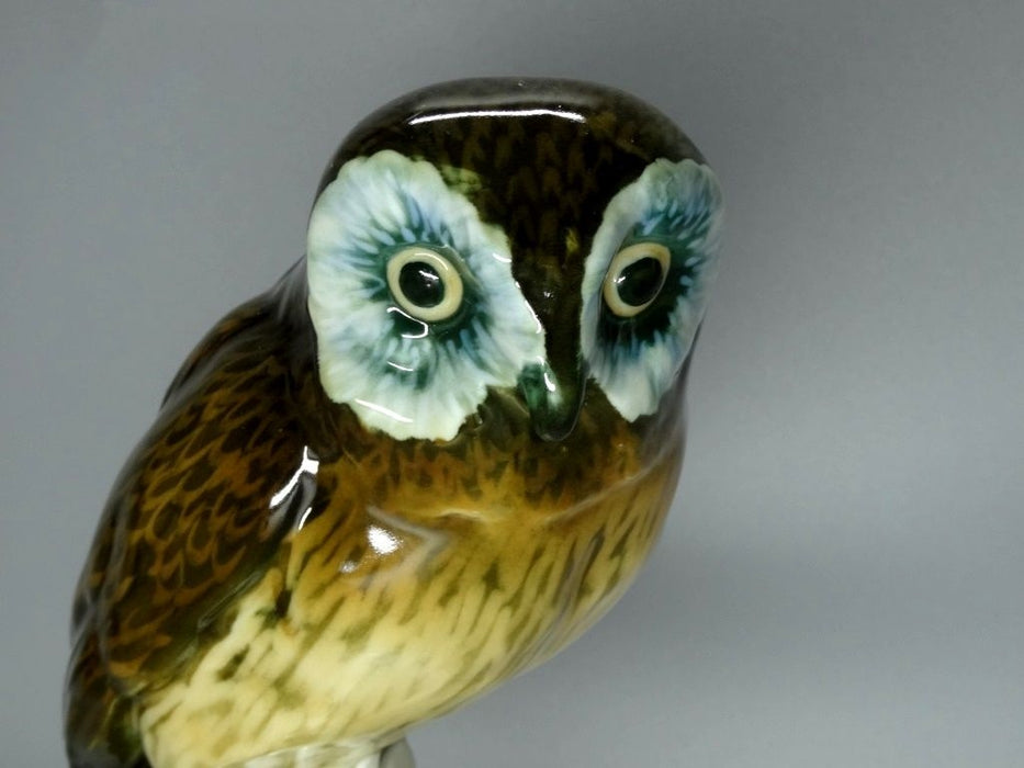 Antique Owl Bird Porcelain Figurine Original Hutschenreuther Germany 20th Art Statue Dec #Rr25