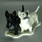 Vintage Terriers Dogs Porcelain Figurine Original Rosenthal Germany 20th Art Statue Dec #Rr184
