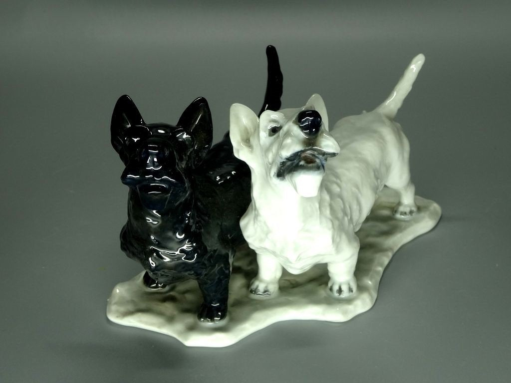 Vintage Terriers Dogs Porcelain Figurine Original Rosenthal Germany 20th Art Statue Dec #Rr184