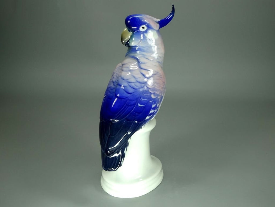 Antique Blue Cockatoo Porcelain Figurine Original KARL ENS Germany 20th Art Statue Dec #Rr101