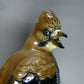 Vintage Big Jay Bird Porcelain Figurine Original Rosenthal Germany 20th Art Statue Dec #Rr46