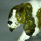 Vintage Spaniel Dog Porcelain Figurine Original Rosenthal Germany 20th Art Statue Dec #Rr113