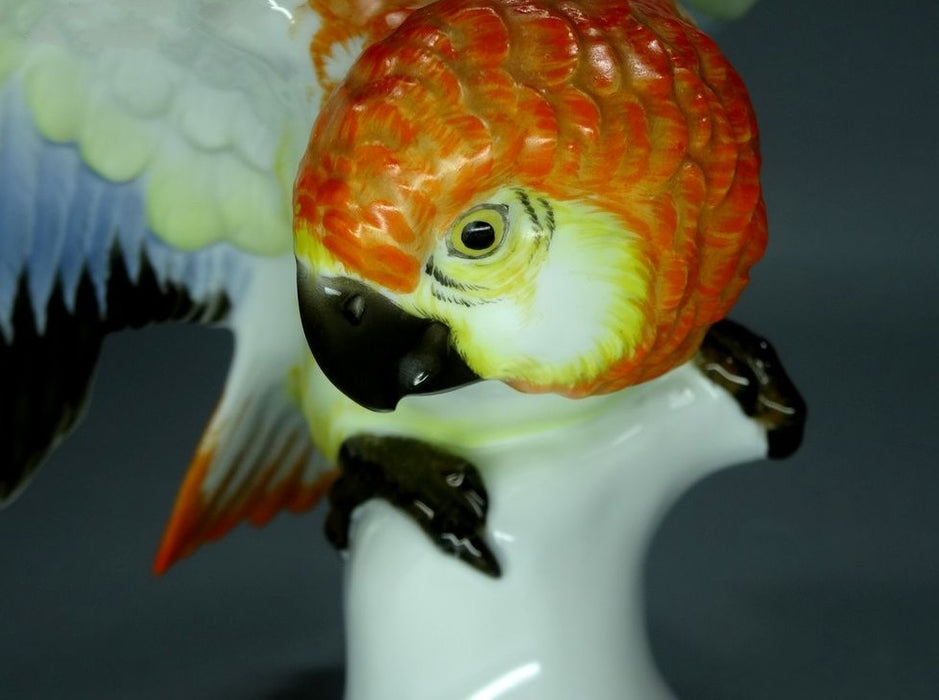 Antique Cockatoo Bird Porcelain Figurine Original Rosenthal Germany 20th Art Statue Dec #Rr72
