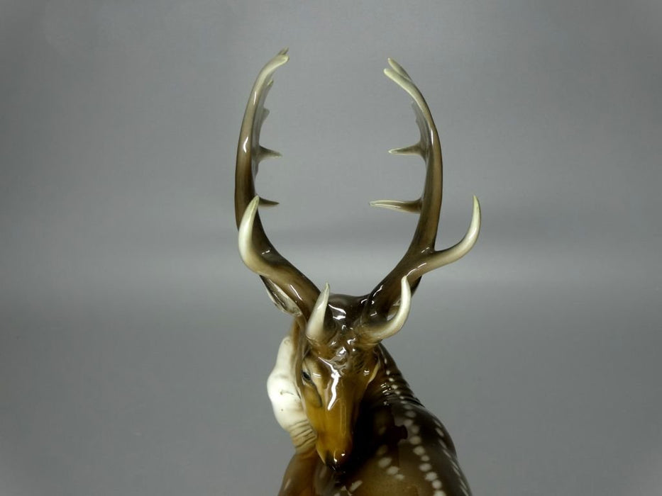 Vintage Deer Porcelain Figurine Original Rosenthal Germany 20th Art Statue Dec #Rr159