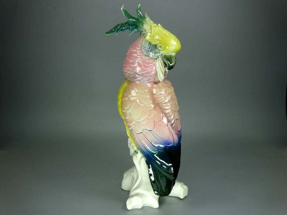 Antique Big Pink Cockatoo Porcelain Figurine Original KARL ENS Germany 20th Art Statue Dec #Rr230