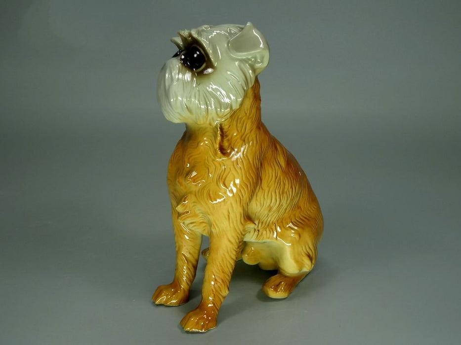 Vintage Griffin Dog Porcelain Figurine Original Nymphenbur Germany 20th Art Statue Dec #Rr246