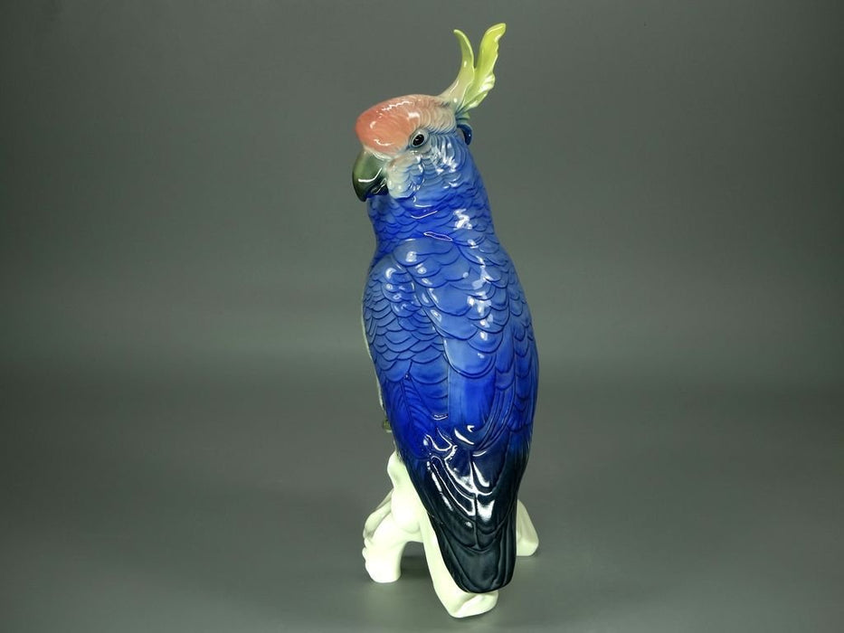 Cockatoo Bird for sale