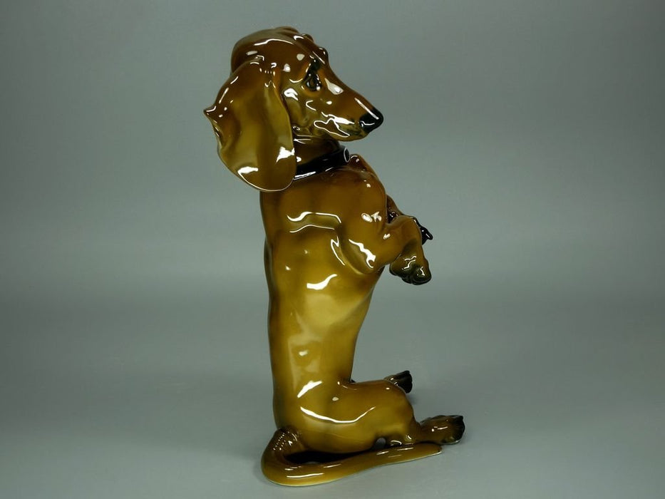 Vintage Porcelain Brown Dog Figurine Original Rosenthal Germany 20th Art Statue Dec #Rr253