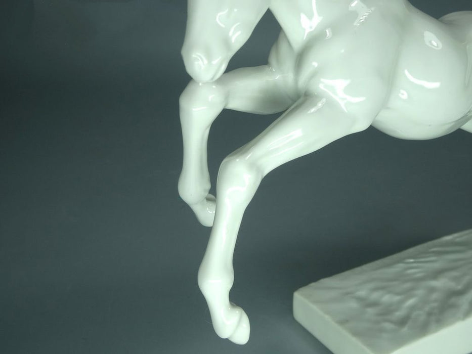 Antique Porcelain White Foal Horse Figurine Original Rosenthal Germany 20th Art Statue Dec #Rr266