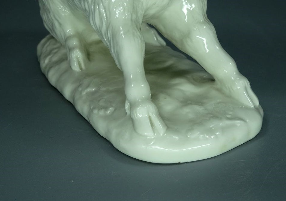 Vintage White Boar Porcelain Figurine Original Nymphenburg Art Sculpture #Ru767