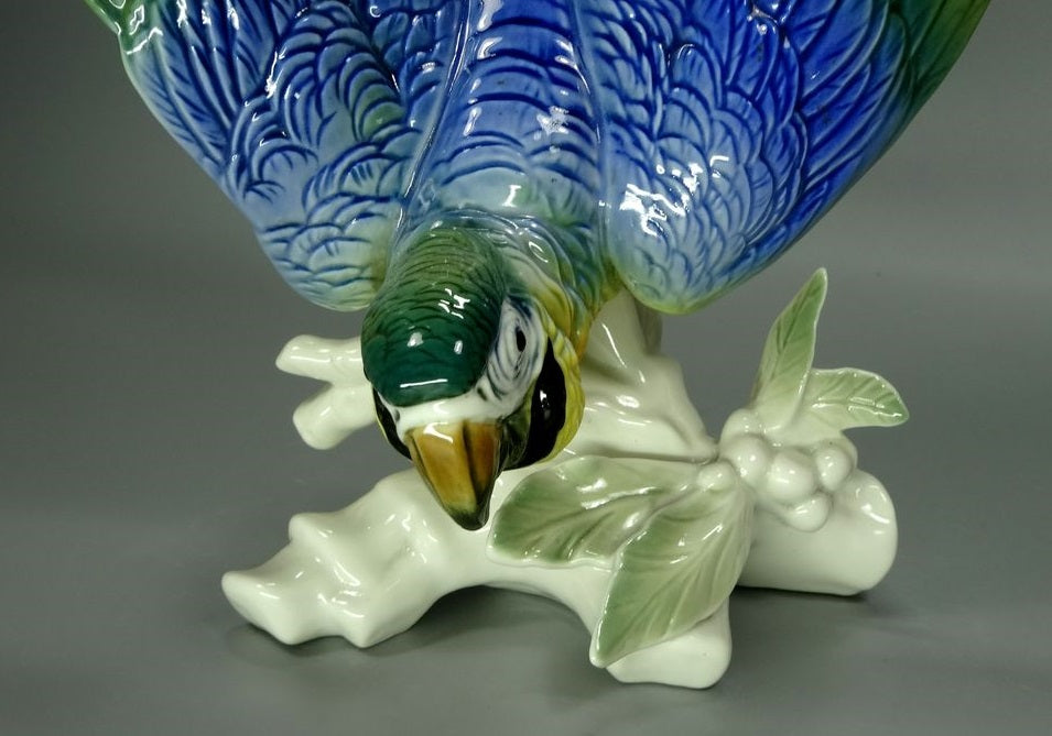 Antique Nice Cockatoo Porcelain Figurine Original Karl Ens Art Sculpture Decor #Ru324