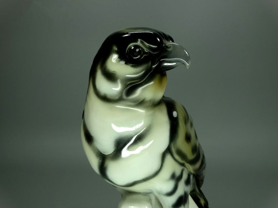 Antique Hawk Bird Porcelain Figurine Original Galluba & Hofmann Art Sculpture Decor #Ru776