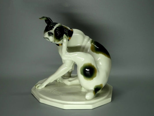 Antique Resting Dog Porcelain Figurine Original Schwarzburger Germany 20th Art Sculpture Dec #Ru988