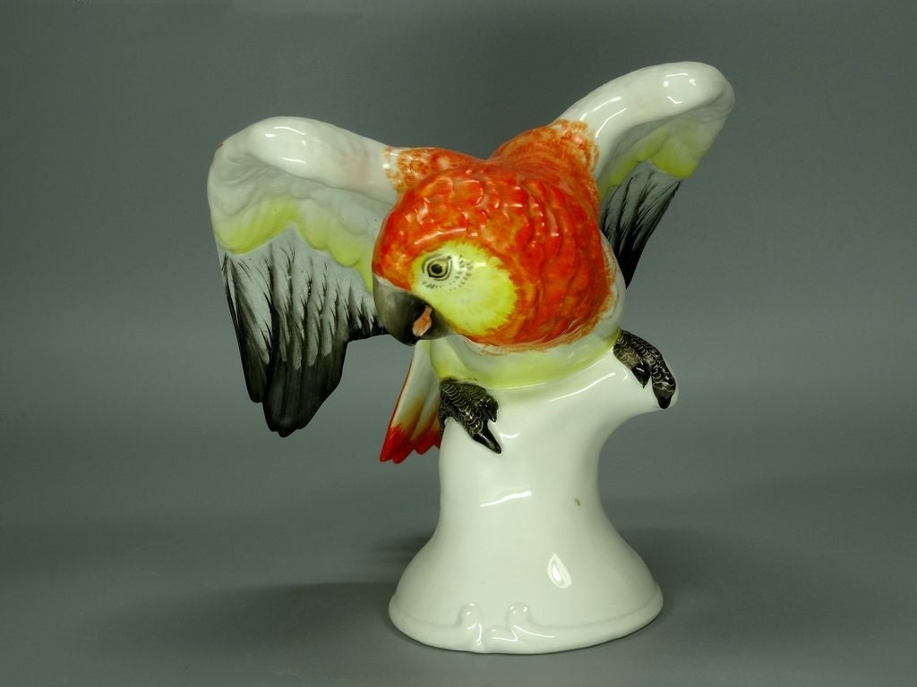 Antique Rare Cockatoo Porcelain Figurine Original Rosenthal Art Sculpture Decor #Ru323