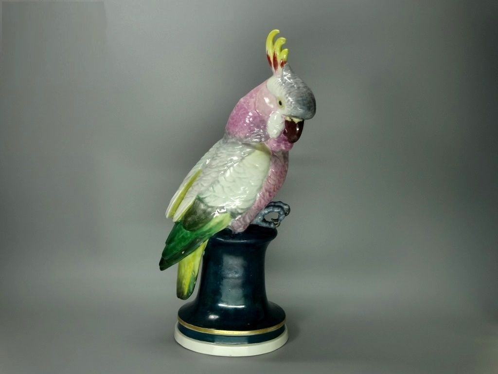 Antique Larg Rainbow Cockatoo Porcelain Figurine Karl Ens Original Art Sculpture #Ru166