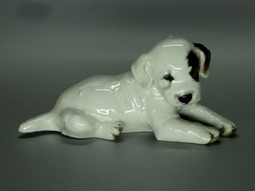 Vintage Labrador Puppy Porcelain Figurine Original Rosenthal Art Sculpture Decor #Ru819
