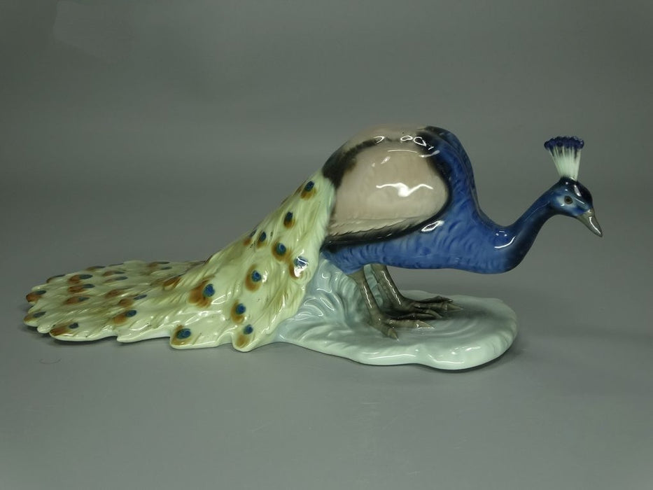 Antique Peacock Bird Porcelain Figurine Original Galluba & Hofmann Art Sculpture Decor #Ru799