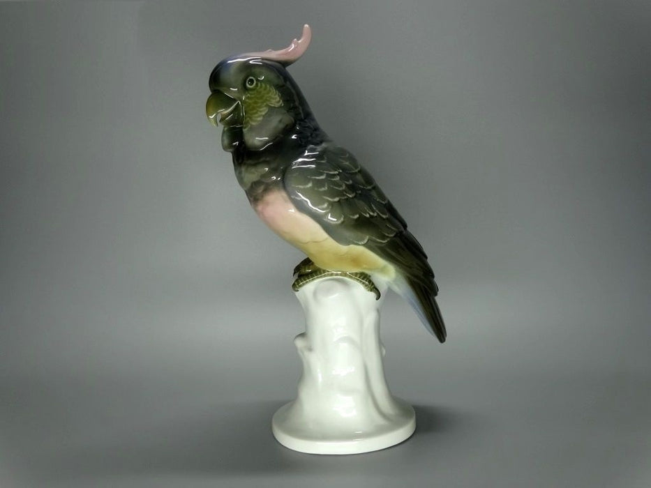 Antique Black Cockatoo Original Unterweissbach Porcelain Figurine Art Sculpture #Ru444