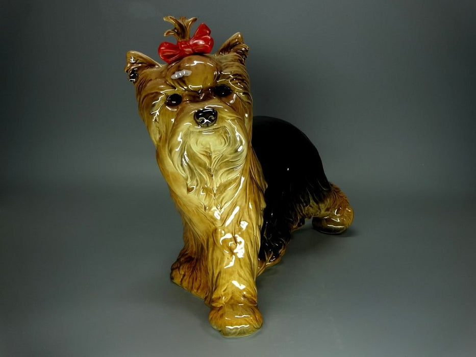 Vintage Large York Dog Porcelain Figurine Original Goebel 20th Art Sculpture Dec #Ru955