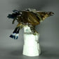 Antique Large Falcon Bird Porcelain Figure Original Karl Ens Art Sculpture Decor #Ru226