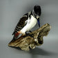 Vintage Black Woodpecker Bird Original Rosenthal Porcelain Figure Art Sculpture #Ru412