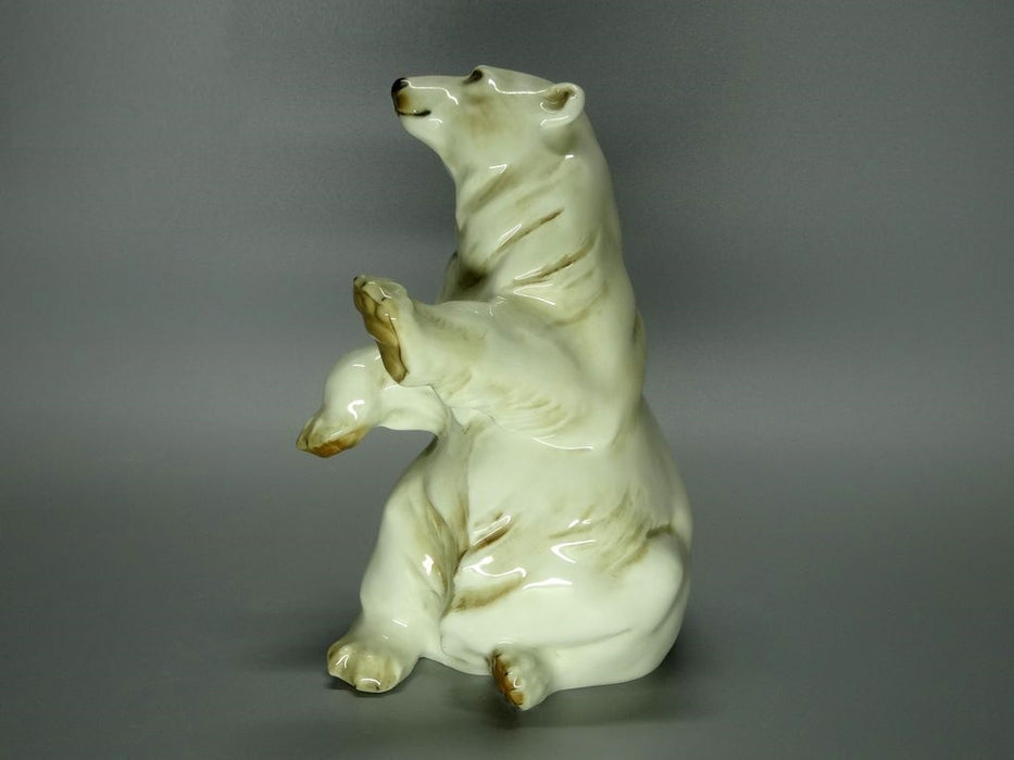 Vintage White Bear Original Hutschenreuther Porcelain Figure Art Sculpture Decor #Ru400