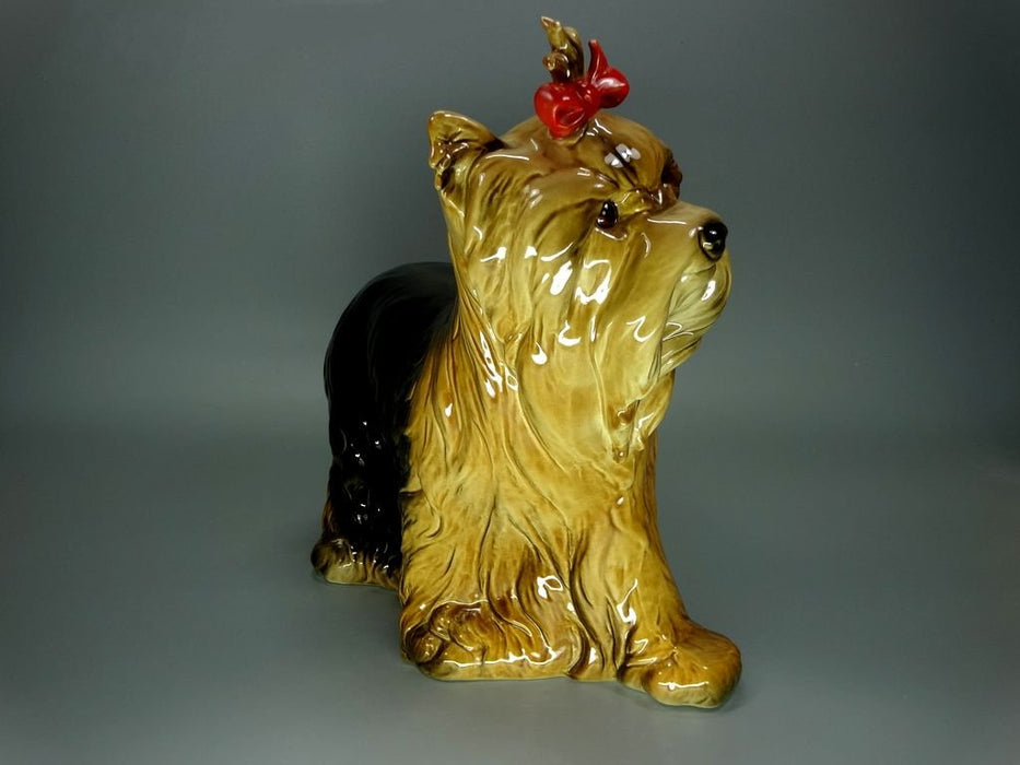 Vintage Large York Dog Porcelain Figurine Original Goebel 20th Art Sculpture Dec #Ru955
