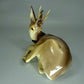 Antique Roe Deer Porcelain Figurine Original Nymphenburg19th Art Sculpture Dec #Ru874