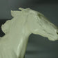 Vintage White Freedom Horse Original Rosenthal Porcelain Figure Art Statue Decor #Ru615
