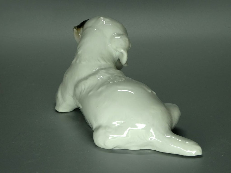 Vintage Labrador Puppy Porcelain Figurine Original Rosenthal Art Sculpture Decor #Ru819