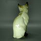Vintage Siamese Cute Cat Porcelain Figure Hutschenreuther Germany 1965 Decor #Ru53