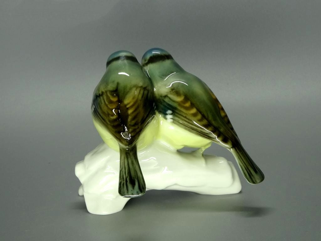 Antique Porcelain Pair Of Tits Birds Figurine Hutschenreuther Germany #L