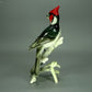 Antique Red Cardinal Bird Porcelain Figurine Original Hutschenreuther Art Sculpture #Ru766