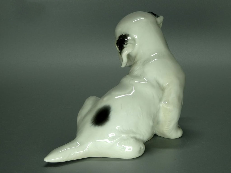 Vintage Labrador Puppy Porcelain Figurine Original Rosenthal Art Sculpture Decor #Ru820