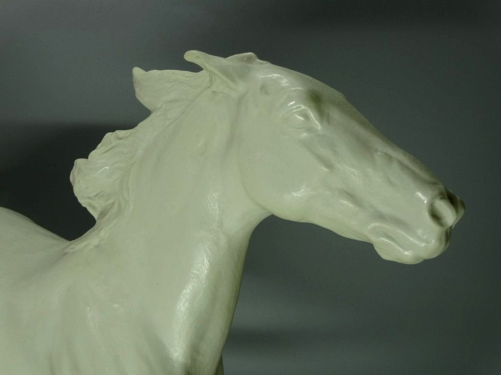 Vintage XXL Freedom Horse Porcelain Figurine Original Rosenthal 20th Art Sculpture Dec #Ru960
