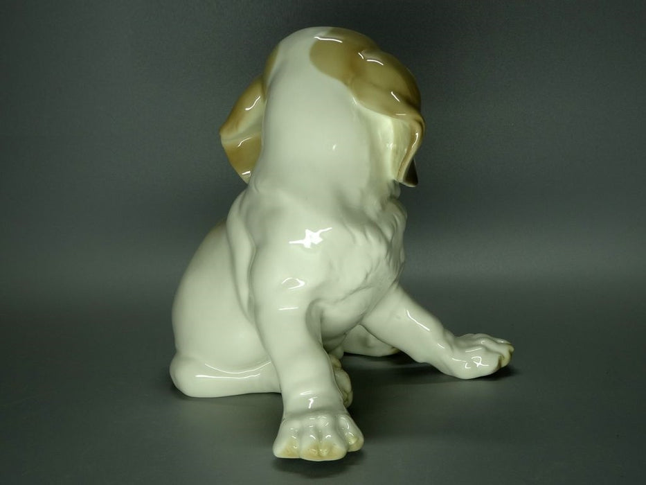 Antique Labrador Puppy Porcelain Figure Original Nymphenburg Art Sculpture Decor #Ru370