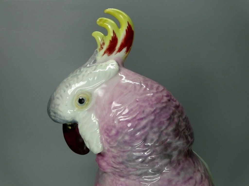 Antique Larg Rainbow Cockatoo Porcelain Figurine Karl Ens Original Art Sculpture #Ru166