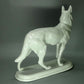 Antique White Sheepdog Original Fraureuth Porcelain Figurine Art Sculpture Decor #Ru425