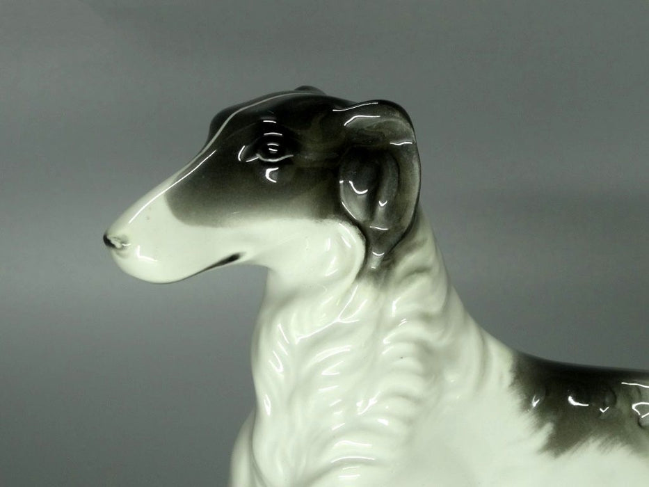 Antique Porcelain Greyhound Dog Figurine Neu Tettau Germany Art Decor #Mm