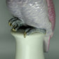 Vintage Pink Cockatoo Parrot Porcelain Figurine Karl Ens Germany Decor #Ru107