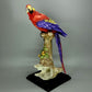 Vintage Red Cockatoo Bird Porcelain Figurine Original G. Armani Sculpture Decor #Ru338