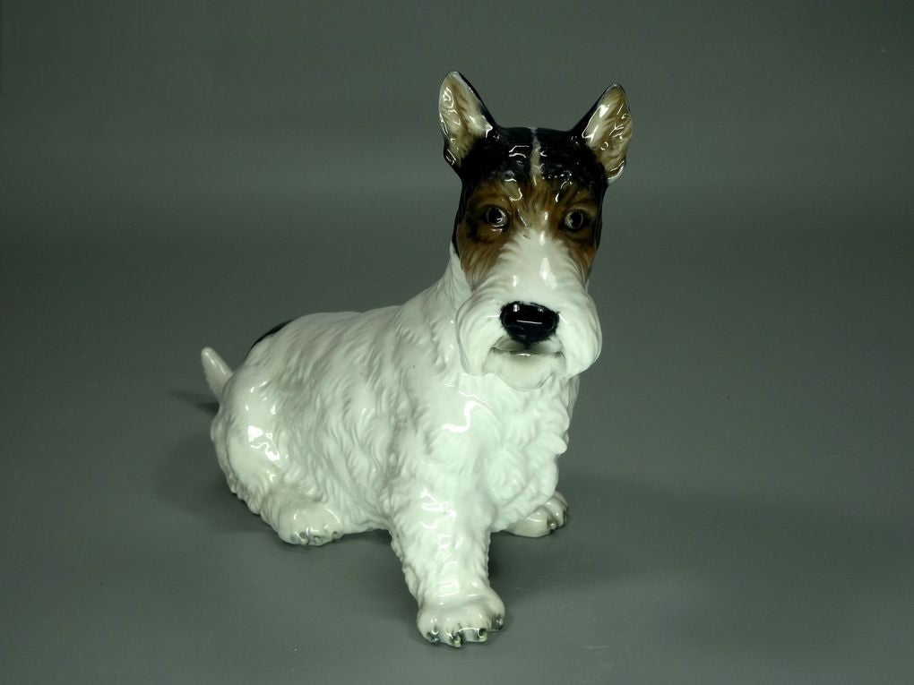 Antique Terrier Dog Porcelain Figurine Original Rosenthal Art Decor Sculpture #Ru660