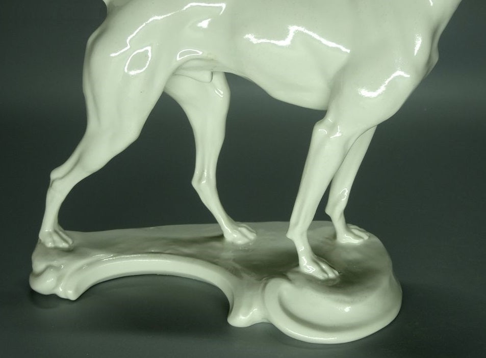 Antique White Hunter Dogs Porcelain Figurine Original Nymphenburg Art Sculpture #Ru302
