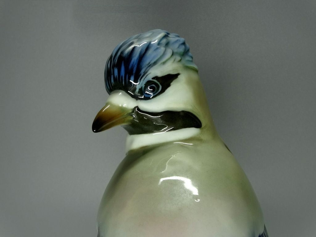 Antique Rare Jay Bird Original KARL ENS Porcelain Figurine Art Sculpture Decor #Ru411