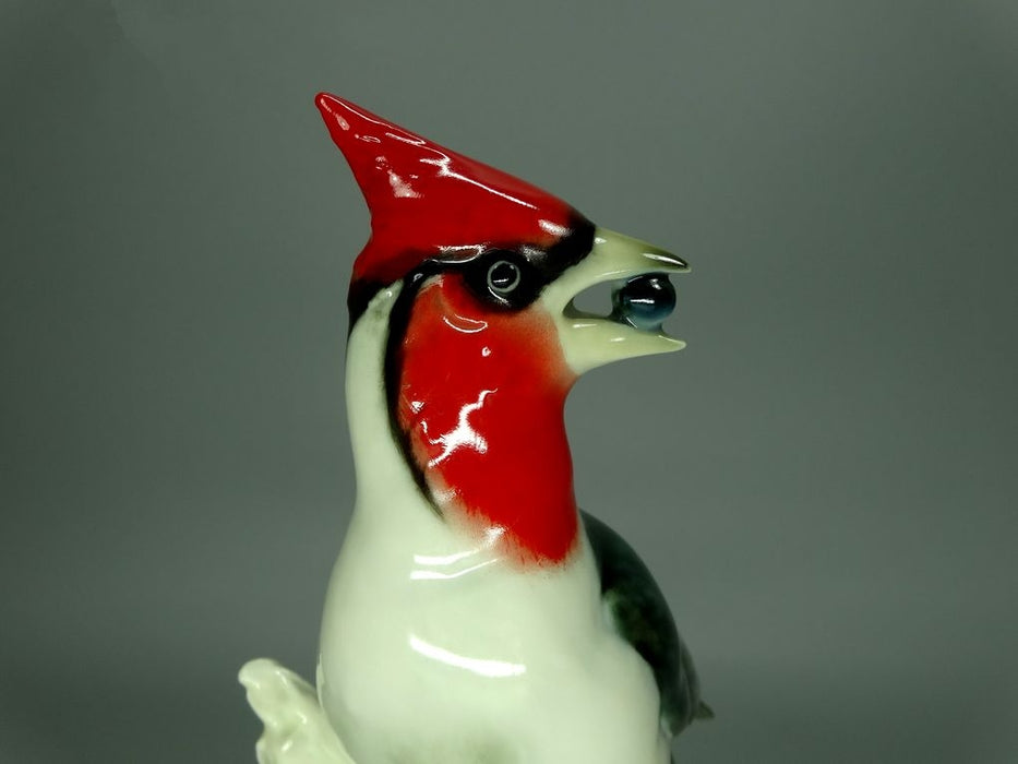 Antique Red Cardinal Bird Porcelain Figurine Original Hutschenreuther Art Sculpture #Ru766