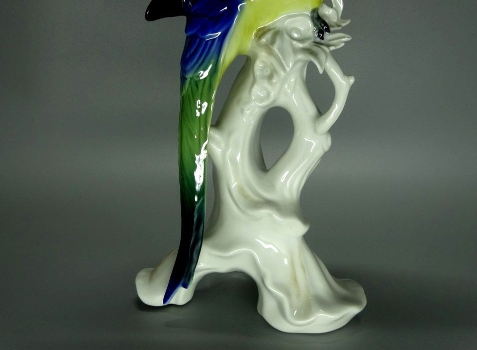 Vintage Nice Blue Parrot Original KARL ENS Porcelain Figure Art Sculpture Decor #Ru447