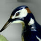 Antique Woodpecker Bird Original KPM Porcelain Figurine Art Sculpture Decor Gift #Ru279