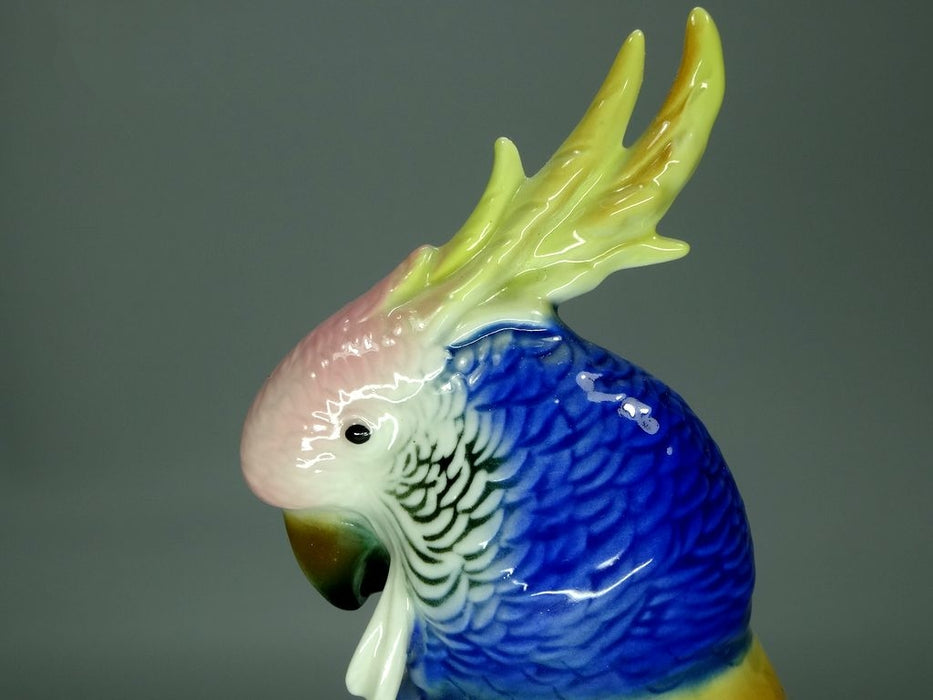 Vintage Blue Cockatoo Porcelain Figurine Original KARL ENS Art Sculpture Decor #Ru832