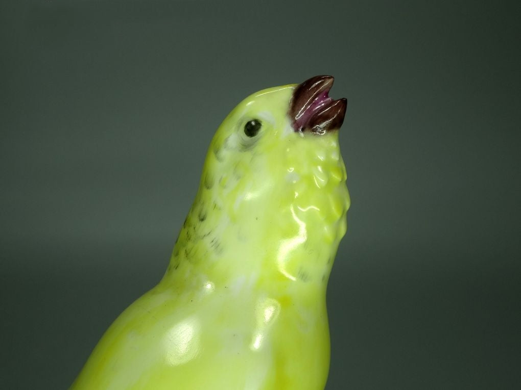 Antique Canary Bird Porcelain Figurine Original Rosenthal Art Sculpture Decor #Ru739